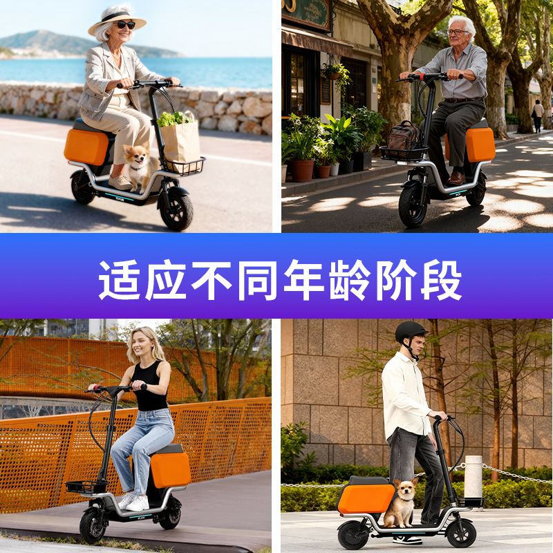 Adult Escooter electric scoote - Scooter Electric 评论和价格